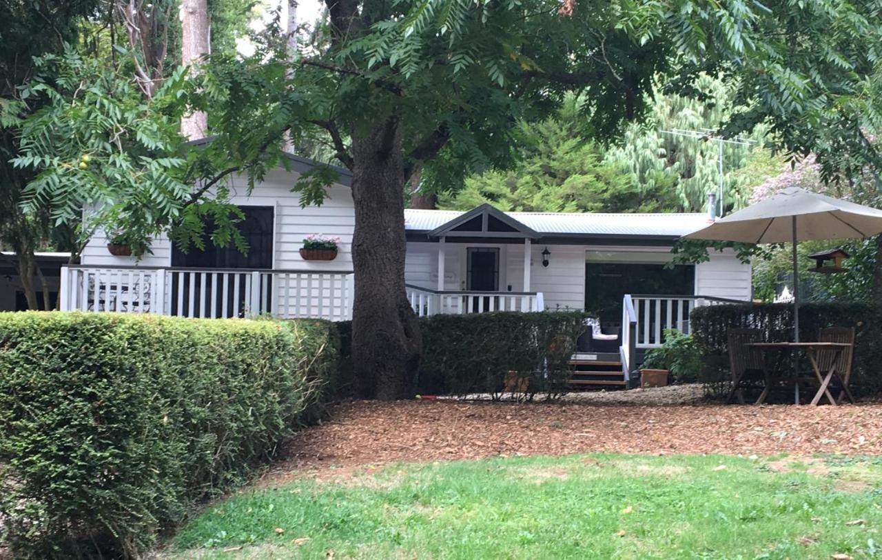 Clarendon Cottages Sassafras 외부 사진