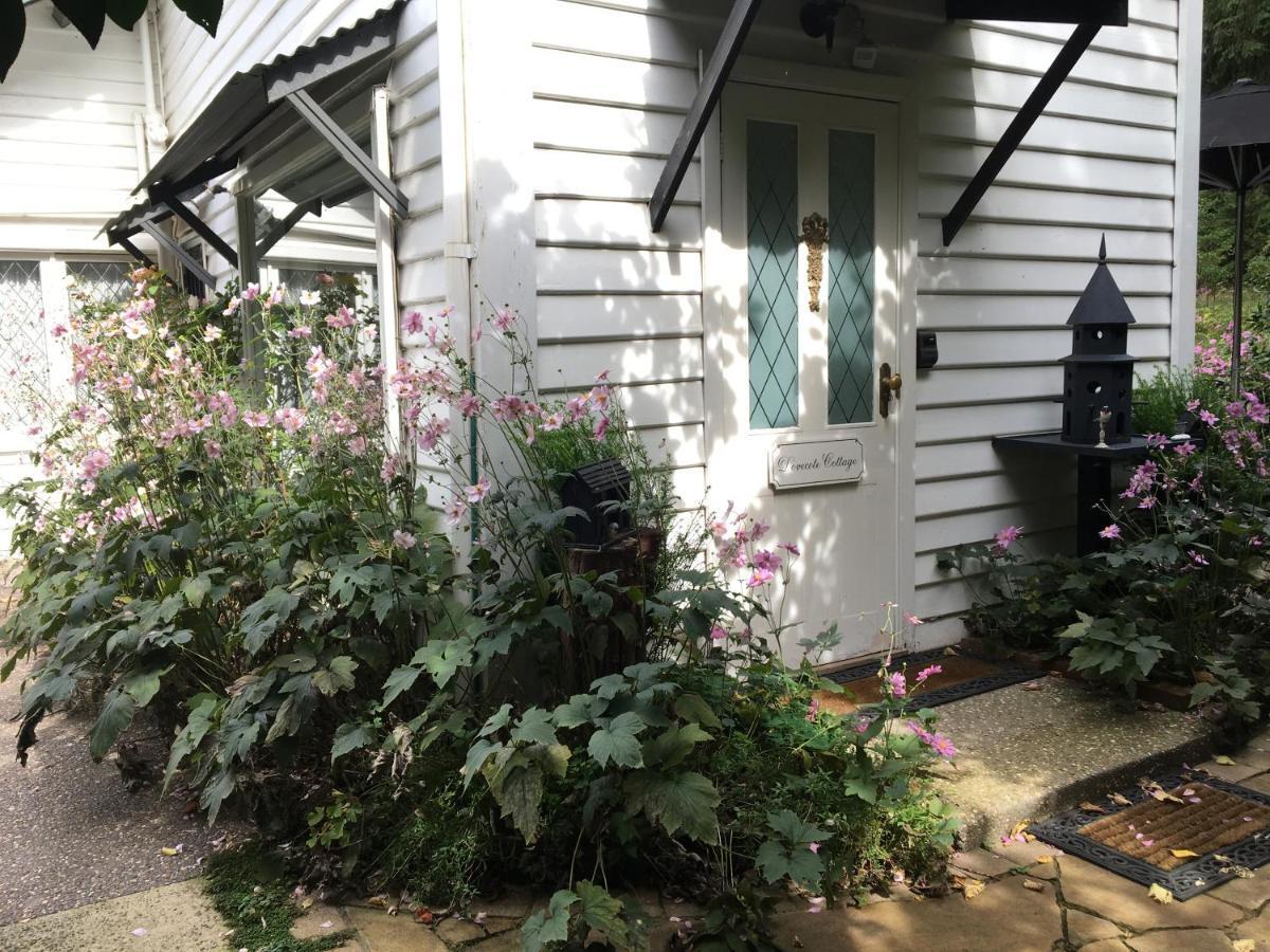 Clarendon Cottages Sassafras 외부 사진